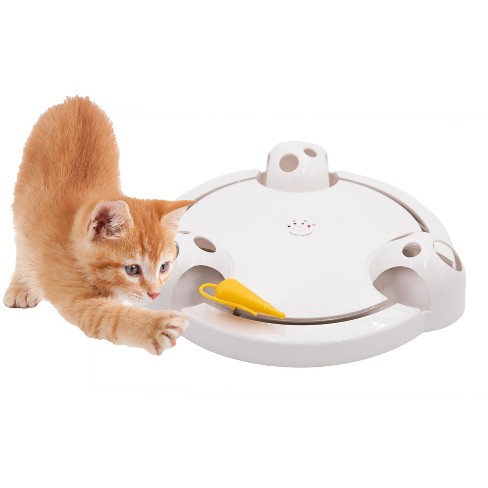 Cat toy mouse pops out best sale