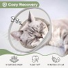 Supet Comfortable Waterproof Mesh Cat Recovery Cone, Alternative to Plastic Elizabeth Cone - 4 of 4