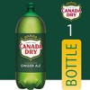 Canada Dry Ginger Ale - 2 Ltr Bottle (1) - 2 of 4