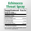A. Vogel Echinaforce Soothing Throat Spray – Fresh Organic Echinacea & Sage – Immune Support Supplement – Non-GMO, Dairy & Gluten Free – 1 fl oz - 3 of 4