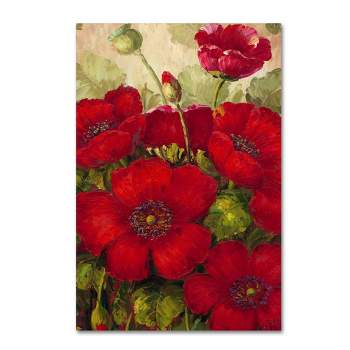 22"x32" Poppies II by Rio - Trademark Fine Art, Gallery-Wrapped Canvas, Contemporary Floral Print, USA Made, Unframed Wall Decor