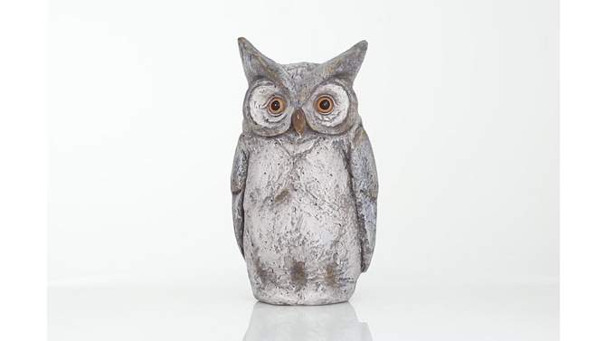 17&#34; x 9&#34; Magnesium Oxide Country Owl Garden Sculpture Gray - Olivia &#38; May, 2 of 8, play video