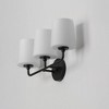 Maxim Lighting Bristol 3 - Light Vanity in  Black - 2 of 4