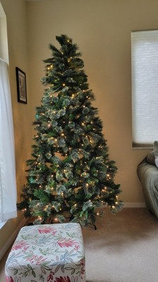 Guest review image 2 of 2, zoom in