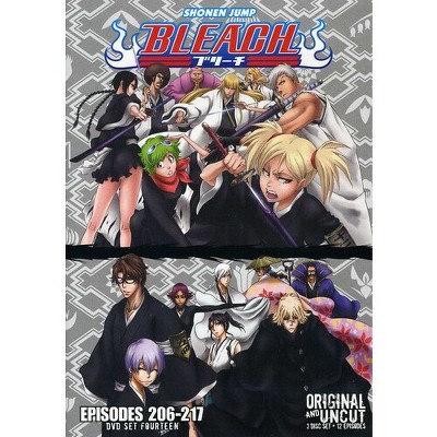 Bleach: Uncut Set 14 (DVD)