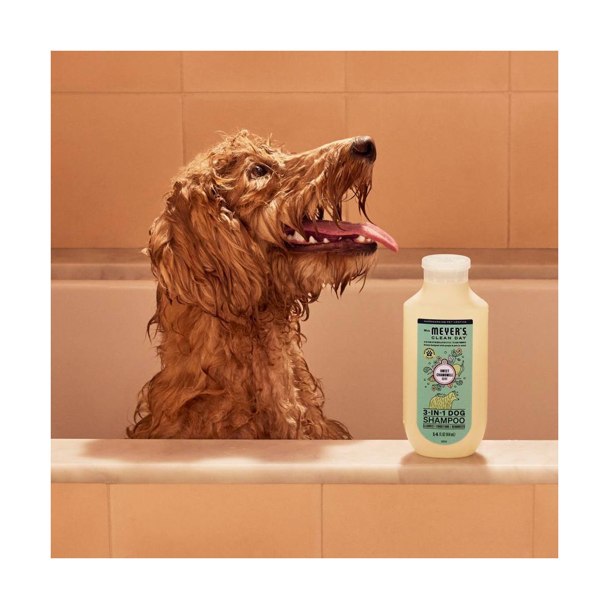 Mrs. Meyer's Clean Day 3-in-1 Chamomile Scented Dog Shampoo - 14 fl oz - thumbnail 8