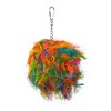 Prevue Pet Products Playfuls Preen & Pacify Krusty Bird Toy 62463 - 2 of 3
