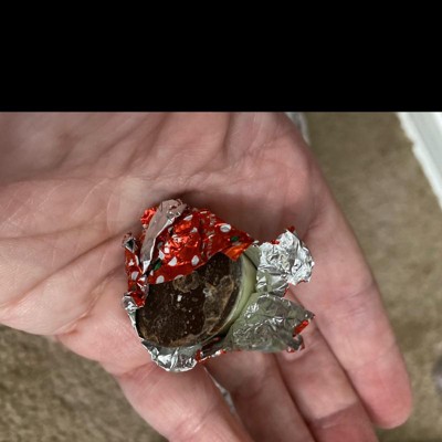 Guest review image 4 of 4, zoom in