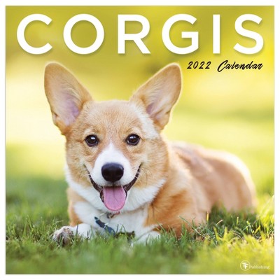 2022 Wall Calendar Corgis - The Time Factory