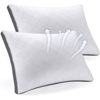 Dr Pillow Sepoveda Contour Memory Foam 2 Pack Pillow : Target