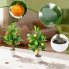20-inch Artificial Orange Trees, 2 Artificial Potted Plants, Artificial Orange and Citrus Trees with White POTS, Interior Decoration. - 2 of 4