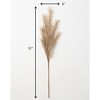 Sullivans Grass Artificial Stem 32"H Gold - 3 of 3