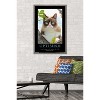 Trends International Grumpy Cat - The Brighter Side Framed Wall Poster Prints - 2 of 4