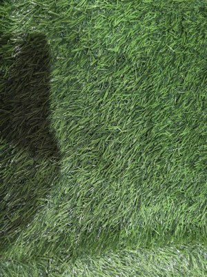 Guest review image 1 of 3, zoom in