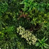 Nearly Natural 40"x40" UV Resistant Amazon Rainforest Artificial Living Wall Panel Green - 4 of 4