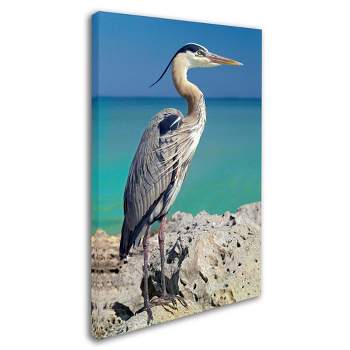 Trademark Fine Art -Mike Jones Photo 'Blue Heron' Canvas Art
