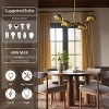 Maxax 36" 4-Light Iron Chandelier, - 3 of 4