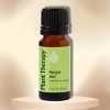 Plant Therapy Essential Oil Blend (Respir Aid) Eucalyptus Globulus Leaf Oil, Mentha Piperita | Plant Therapy's Healing Balm (1 oz) - 2 of 2