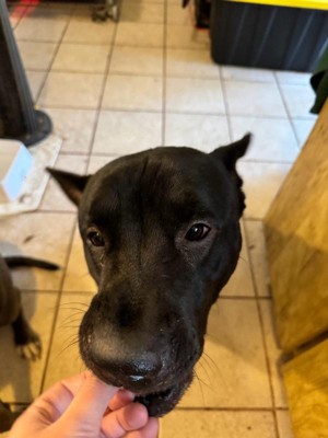 Guest review image 3 of 3, zoom in