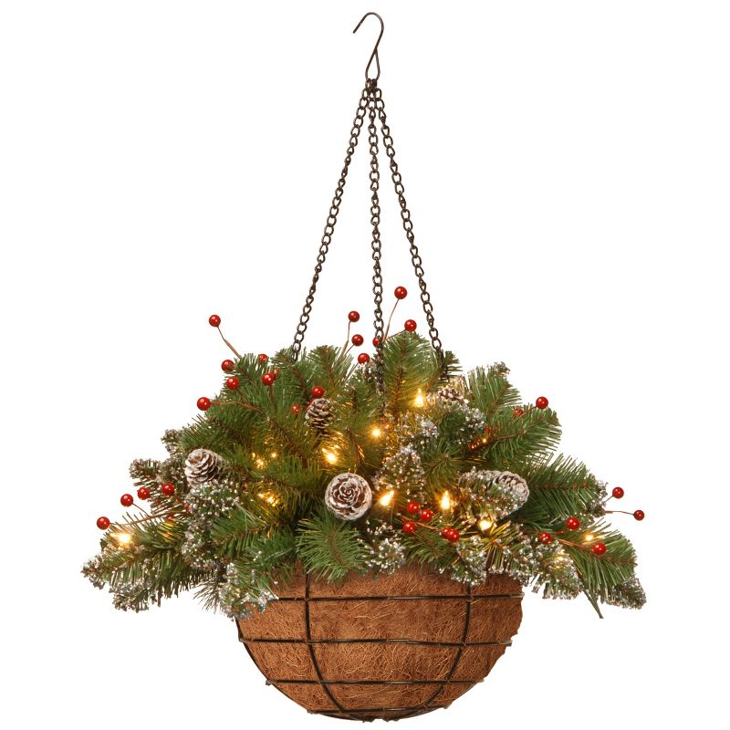 20" Pre-Lit Artificial Mountain Spruce Hanging Christmas Basket with Frosted Pine Cones and Berry Clusters White Lights - National Tree Company, 1 of 8