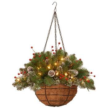 National Tree Company Pre-Lit Artificial Christmas Hanging Basket, Mountain Spruce, With Frosted Pine Cones, Berry Clusters, White Lights,20 Inches
