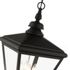Livex Lighting Adams 4 - Light Pendant in  Black/Brushed Nickel - 4 of 4