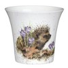 Royal Worcester Wrendale Designs Flower/ Herb Pot - Hedgehog, Made from Ceramic,  Dishwasher Safe, 3.9 in, Perfect for any kitchen - 2 of 4