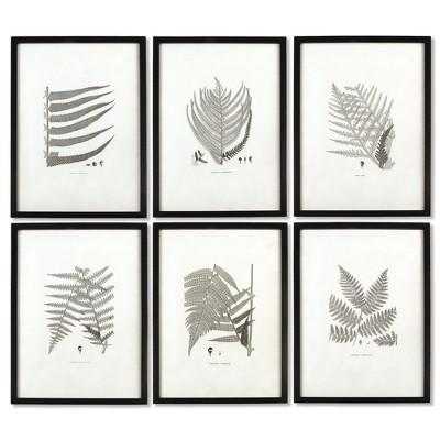 Plum & Post Framed Gray-Tone Fern Prints, Set Of 6
