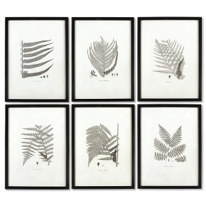 Plum & Post Framed Gray-Tone Fern Prints, Set Of 6 - 1 of 3