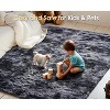 AMERLIFE Area Rug with Shaggy High Pile, Soft Carpet for Living Room and Bedroom - 4 of 4
