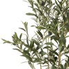 Maggift Artificial Plant 6FT Artificial Olive Tree Faux Decorative Plant in Nursery Pot for Indoor with Black Pot, Green, 19"*15"*47" - 4 of 4