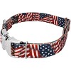 Country Brook Petz Premium Dog Collar - Americana Collection - 4 of 4