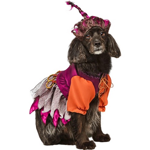 Hocus Pocus Dog Costume