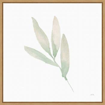 16" x 16" Sage Leaves III by Katrina Pete Framed Wall Canvas - Amanti Art