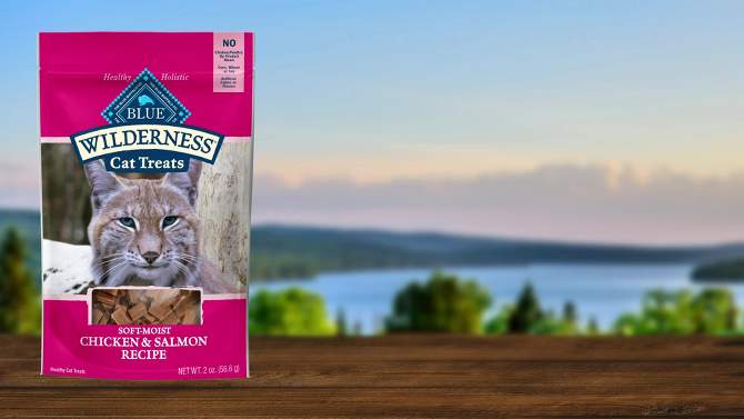 Blue Buffalo Wilderness Grain Free Chicken & Salmon Recipe Soft Cat Treats, 2 of 6, play video