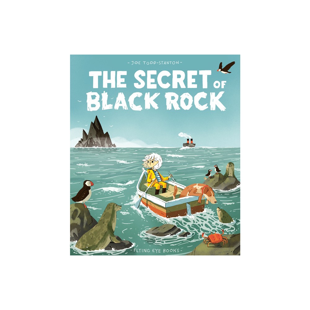 The Secret of Black Rock - by Joe Todd-Stanton (Hardcover)