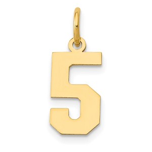 Black Bow Jewelry 14k Yellow Gold, Athletic Collection, Small Polished Number 5 Pendant - 1 of 4