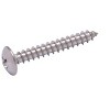 Bolt Dropper No. 6 X 3/4" Stainless Truss Head Phillips Wood Screw, 25pc - 3 of 4