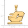 Black Bow Jewelry 10k Yellow Gold Central Michigan Chippewas NCAA Medium Pendant - 2 of 3
