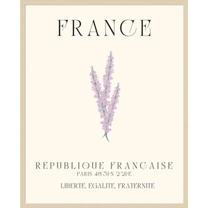 Amanti Art 33"x41" France Travel Poster French Lavender by Chayan Lewis Wood Framed Wall Art Print Brown - 1 of 4