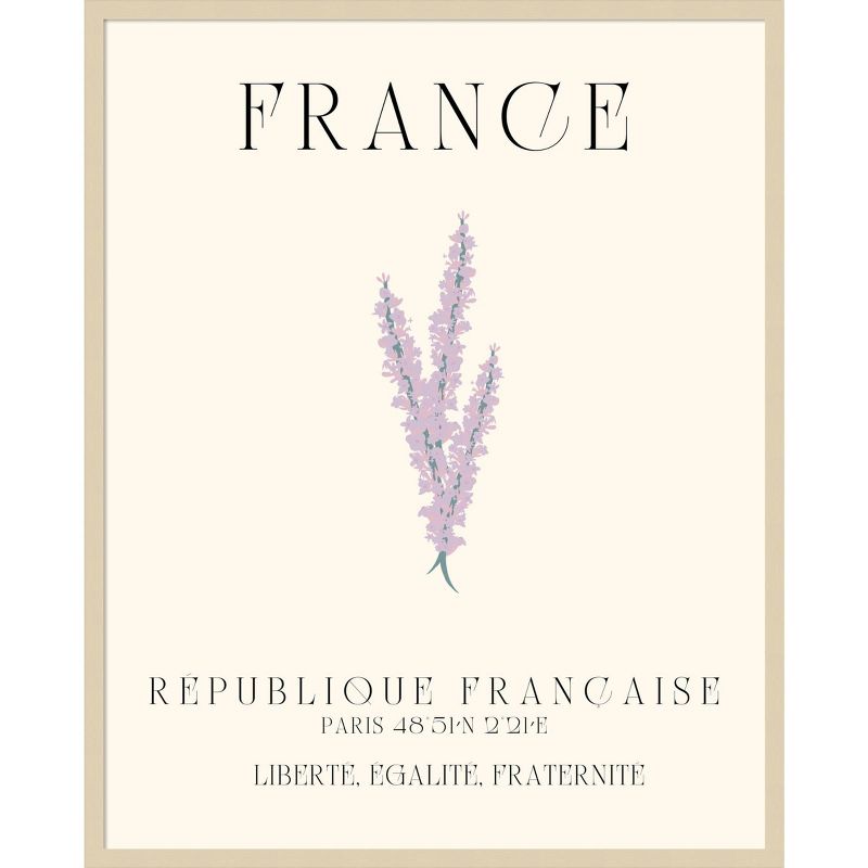 33&#34;x41&#34; France Travel Poster French Lavender by Chayan Lewis Wood Framed Wall Art Print Brown - Amanti Art, 1 of 11