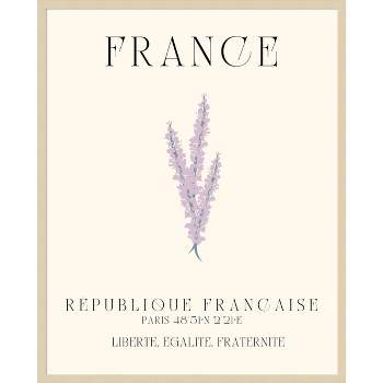 33"x41" France Travel Poster French Lavender by Chayan Lewis Wood Framed Wall Art Print Brown - Amanti Art