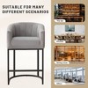 Hyleory Luxury Velvet Bar Stool - Plush Fixed Design with Sleek Curved Metal Legs - 4 of 4