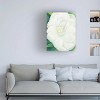 Trademark Fine Art -Georgia O'Keefe 'White Camelia' Canvas Art - 2 of 4