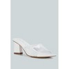 Eugnie Clear Straps Block Heel Women Sandals - 2 of 4