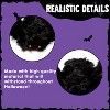 Joyfy 6Pcs Halloween Hairy Giant Spider Set Decoration,Realistic Red Eyes and Bendable Legs,Indoor/Outdoor Lawn Porch & Yard,Halloween Party Supplies - 4 of 4