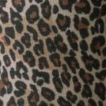 animal print