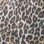 animal print