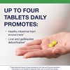 Metagenics CandiBactin-BR, Berberine, Oregon Grape & Coptis Root, Intestinal & Gut Health Support, Gluten-Free, Vegetarian, 90 Tablets - 3 of 4