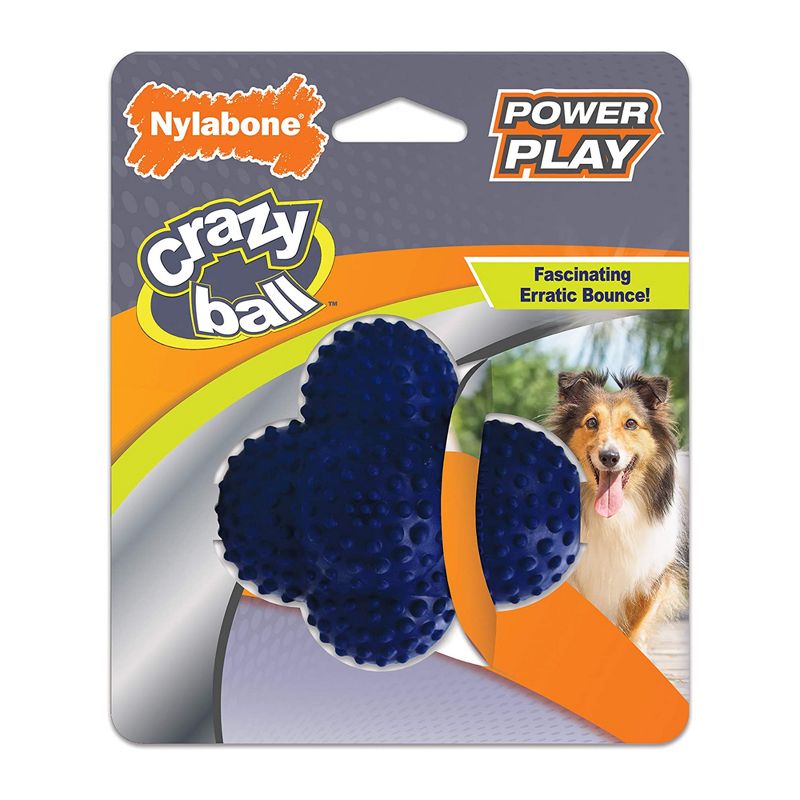 Nylabone Power Play Crazy Ball Dog Toy Large, 1 of 6